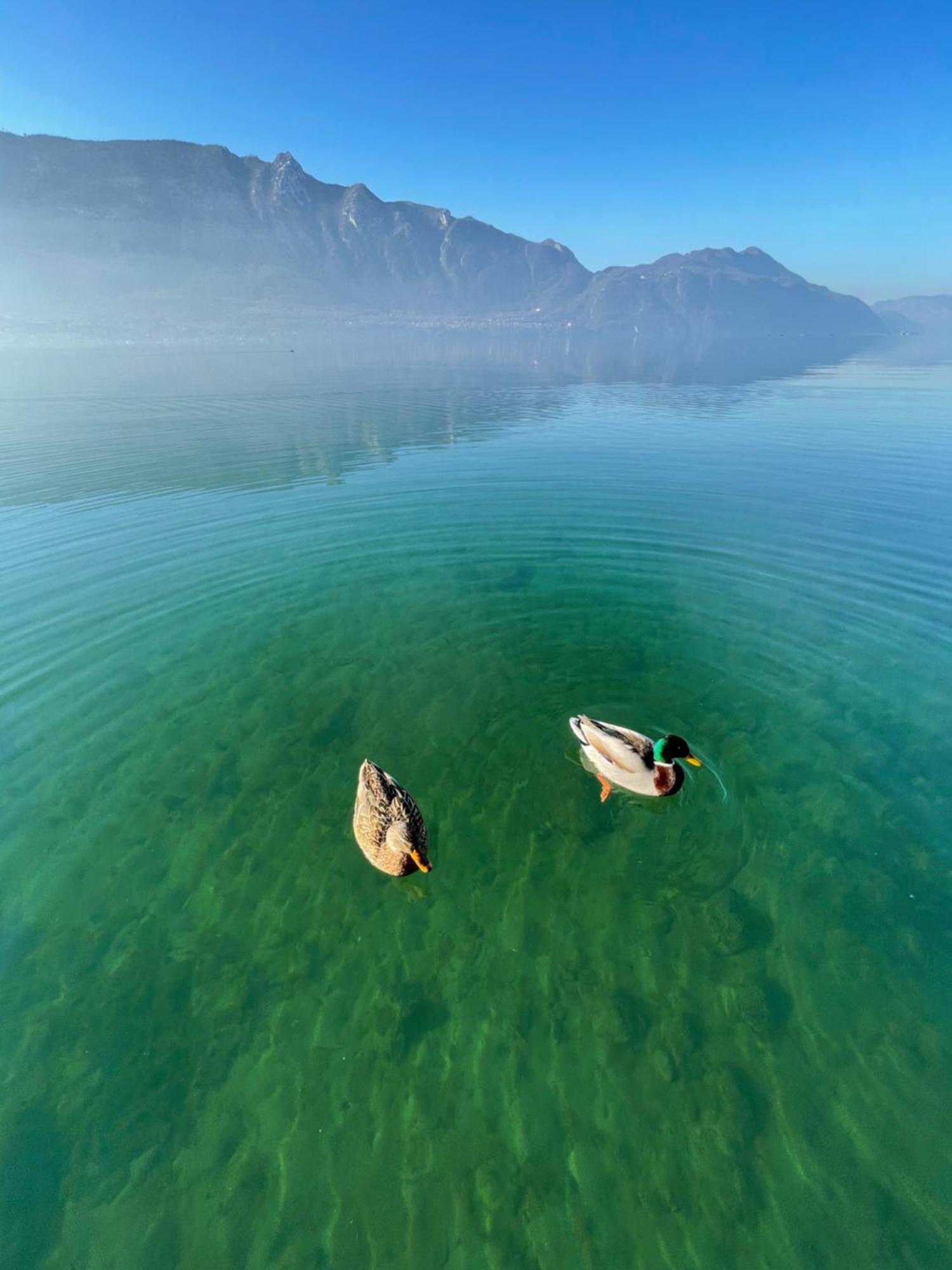 “L'Escapade”, Entre Lac Et Montagne Saint-Alban  Dış mekan fotoğraf